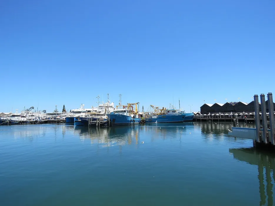End-to-end transformation for a regional seafood business