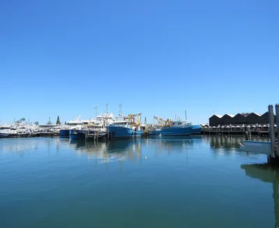 End-to-end transformation for a regional seafood business